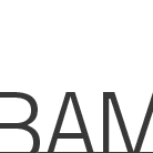 BAM Membership for 2